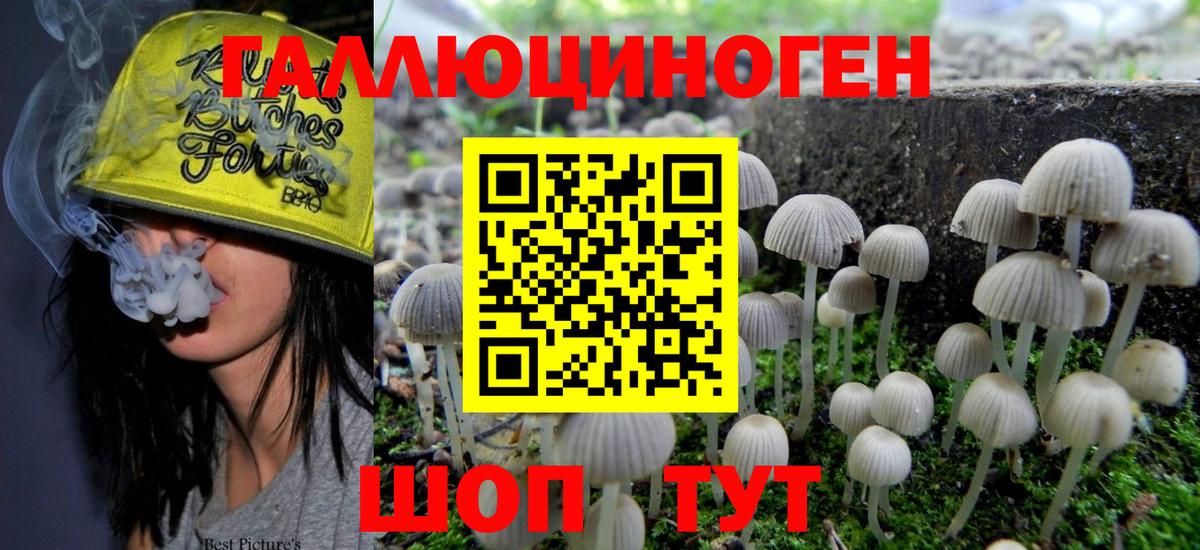 Галлюциногенные грибы GOLDEN TEACHER  Галлюциногенные грибы MAGIC MUSHROOMS  Уварово  Вход с VPN 